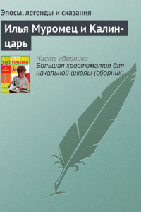 Книга Илья Муромец и Калин-царь