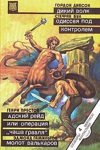 Книга Дикий Волк. Одиссея под контролем. Адский рейд, или Операция 