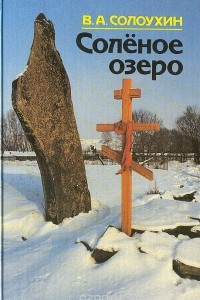 Книга Соленое озеро