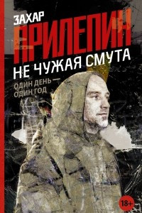 Книга Не чужая смута. Один день - один год