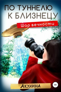 Книга По туннелю к Близнецу