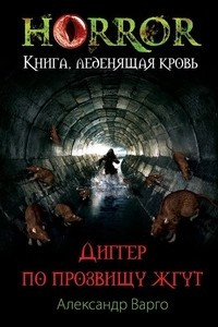 Книга Диггер по прозвищу Жгут