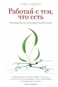 Книга Работай с тем, что есть. Руководство по сострадательной жизни