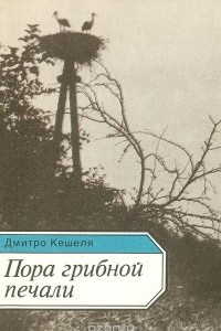 Книга Пора грибной печали