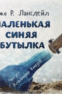 Книга Маленькая синяя бутылка