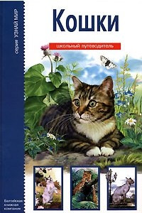 Книга Кошки