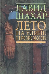 Книга Лето на улице пророков