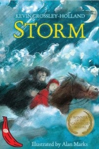 Книга Storm