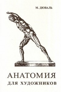 Книга Анатомия для художников