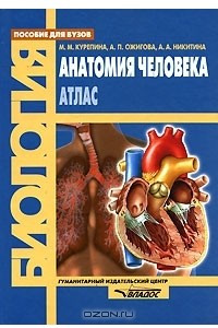 Книга Анатомия человека. Атлас