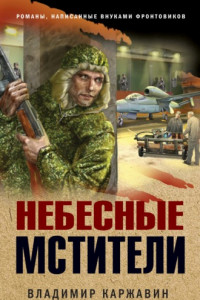 Книга Небесные мстители