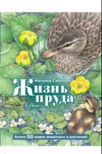 Книга Жизнь пруда