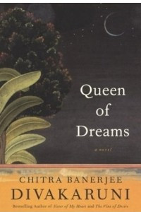 Книга Queen of Dreams : A Novel