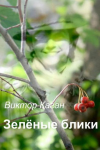 Книга Зелёные блики