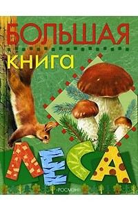 Книга Большая книга леса