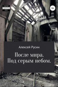 Книга После мира. Под серым небом