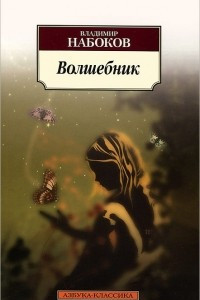 Книга Волшебник