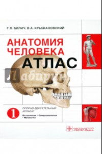 Книга Анатомия человека: атлас. В 3-х томах. Том 1. Опорно-двигательный аппарат. Остеология, Синдесмология