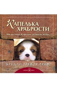 Книга Капелька храбрости. Как достойно встречать трудности жизни