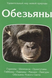 Книга Обезьяны