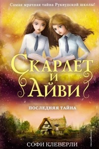 Книга Последняя тайна