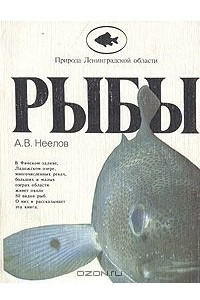 Книга Рыбы