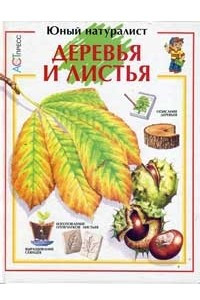 Книга Деревья и листья