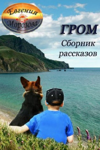 Книга Гром. Сборник рассказов