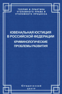 Книга Ювенальная юстиция в Российской Федерации. Криминологические проблемы развития