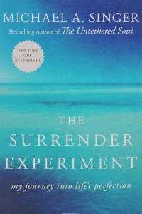 Книга The Surrender Experiment