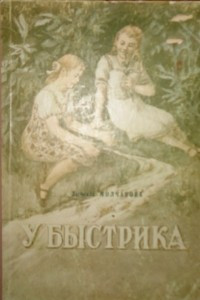 Книга У Быстрика