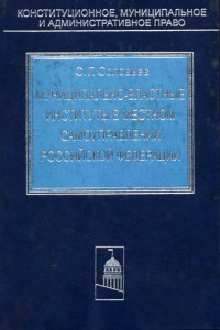 Книга Муниципально-властные институты в местном самоуправлении Российской Федерации