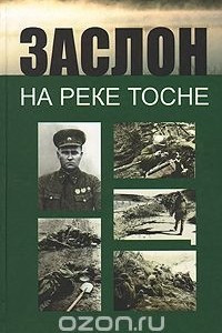 Книга Заслон на реке Тосне