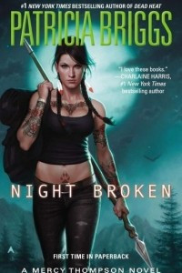 Книга Night Broken