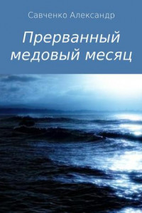 Книга Прерванный медовый месяц