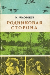 Книга Родниковая сторона