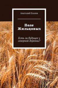 Книга Поле Жильцовых. Есть ли будущее у северной деревни?