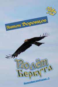 Книга Полёт беркута. Философия моей души – 3