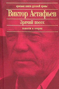 Книга Зрячий посох. Повести и очерки