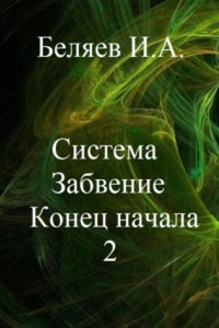 Книга Система. Забвение. Конец начала 2. Книга вторая. Цикл «Икосаэдр. Бронзовый аддон»