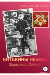 Книга Витькины небеса. Жить ради Победы