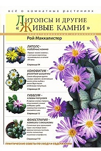 Книга Литопсы и другие 