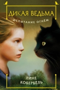 Книга Испытание огнем