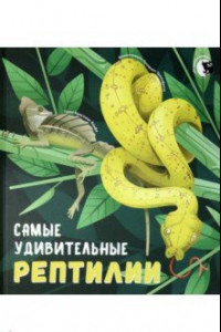 Книга Самые удивительные рептилии