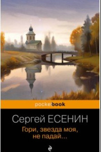 Книга Гори, звезда моя, не падай