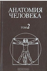 Книга Анатомия человека. В двух томах. Том 2