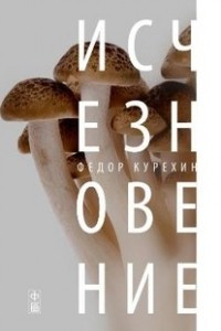 Книга Исчезновение