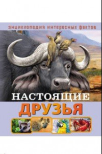 Книга Настоящие друзья