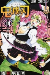 Книга Demon Slayer: Kimetsu no Yaiba, Vol. 14