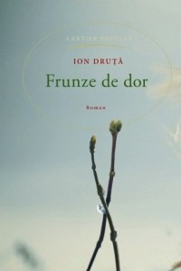 Книга Frunze de dor